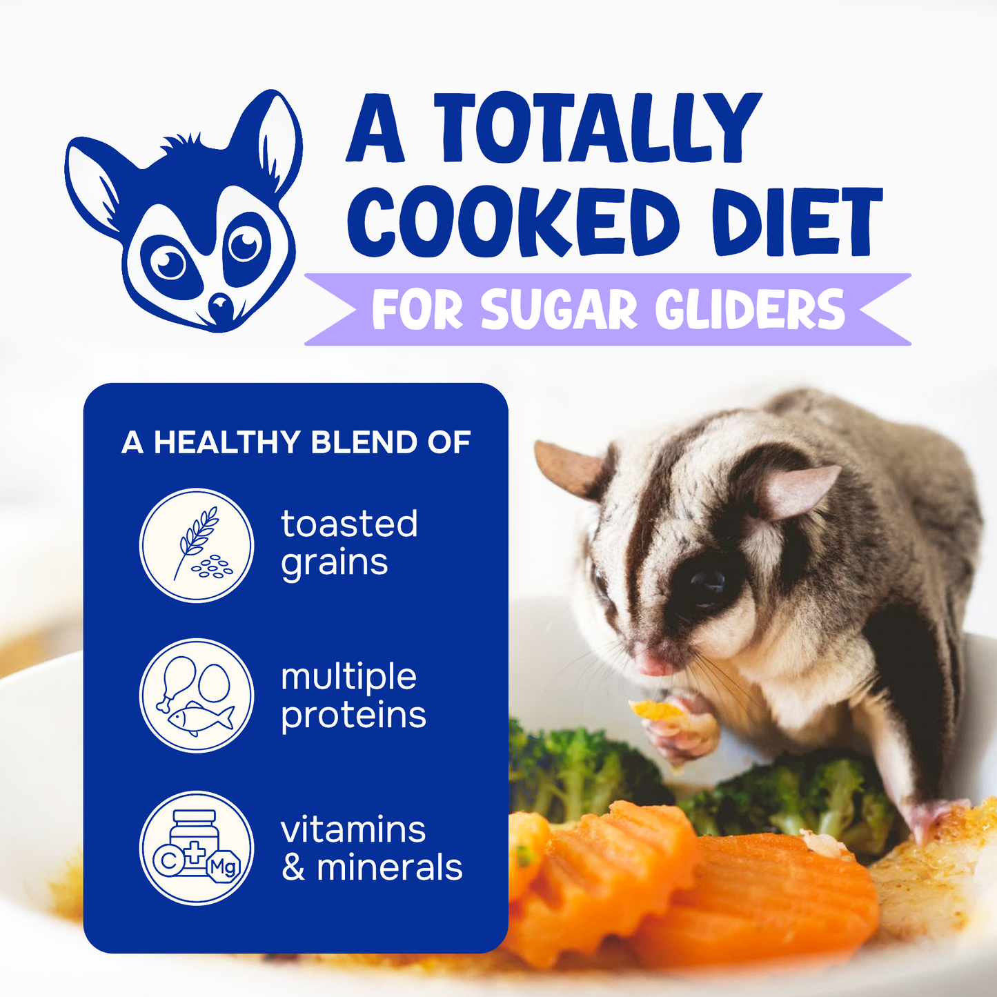 Wholesome Balance™ Honey & Yogurt Flavor (1.5 lbs)