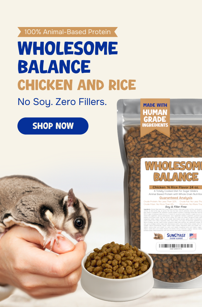 Wholesome Balance sugar glider food with chicken and rice formula next to sugar glider eating on hand