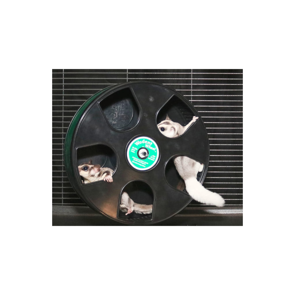 Nail-O-Matic™ Plus One Wodent Wheel (Senior)
