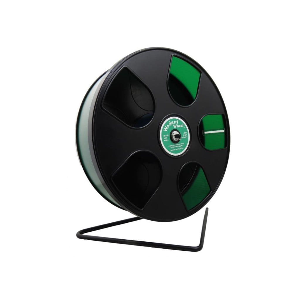 Wodent Wheel (Senior) - Sugar Gliders, Lady Rats, Larger Hamsters, and Other Similarly Sized Animals