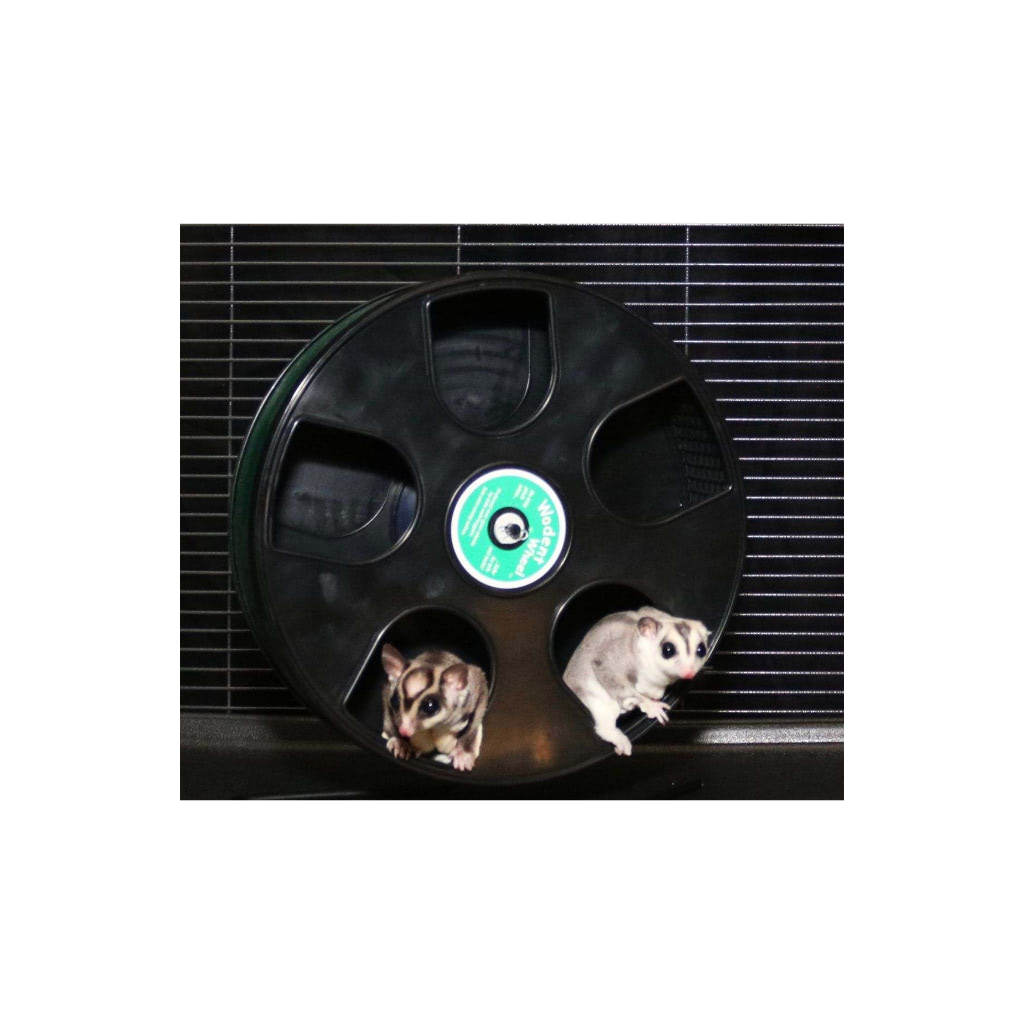 Wodent Wheel NOM Lifestyle2