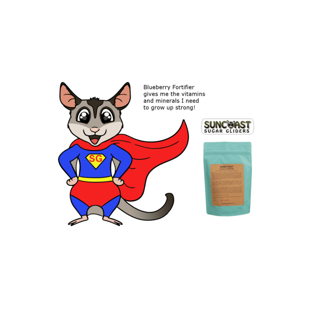 Blueberry Fortifier Complete Supplement
