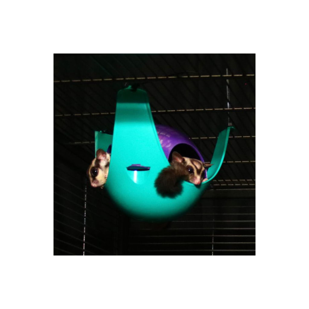 Sugar Glider Contempo Cave