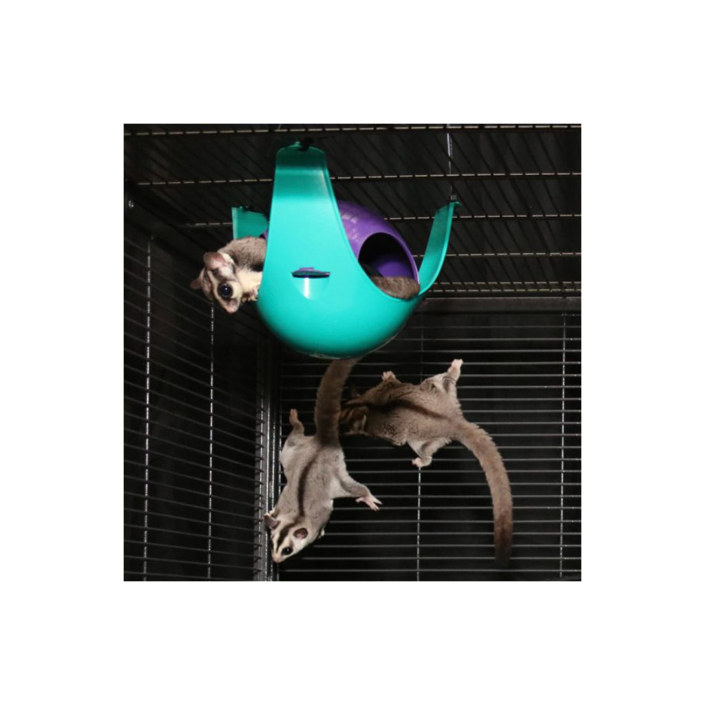 Sugar Glider Contempo Cave