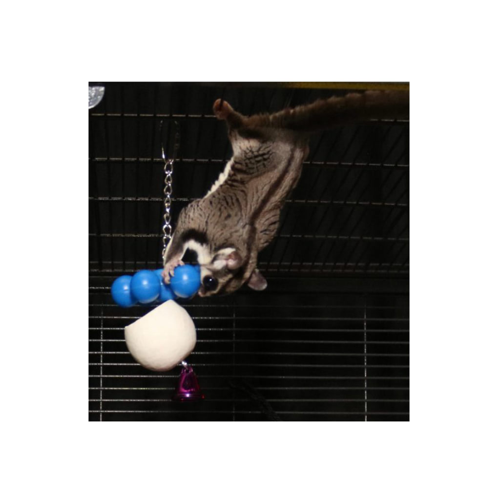 Foraging Cup & Vine Ball Barbell